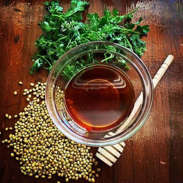 Coriander Honey Honey Mead India